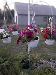 Кімнати у міні-готелі