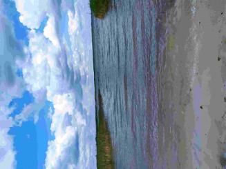 Гостьовий будинок у Світлани