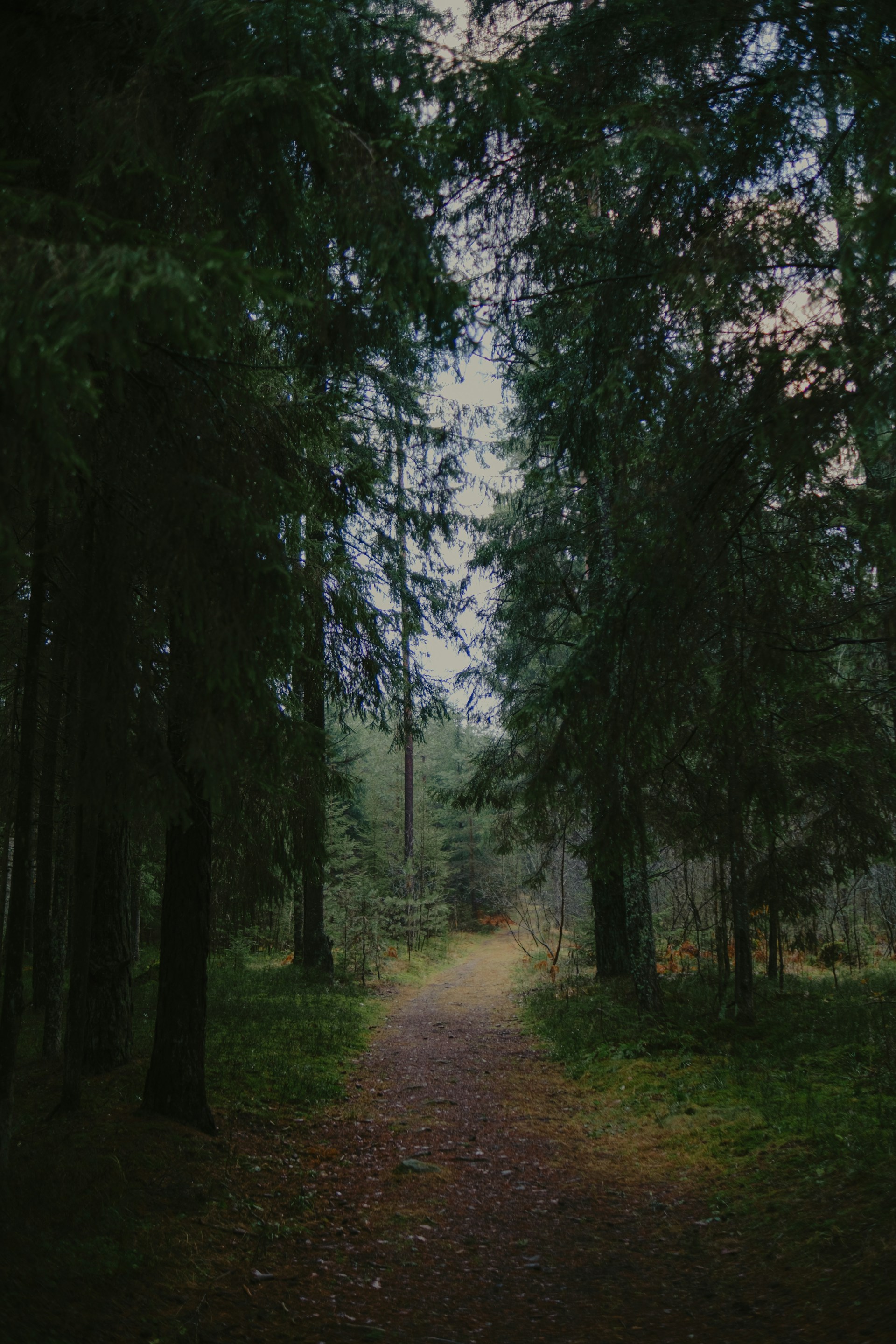 Шацький національний природний парк: екостежки та маршрути